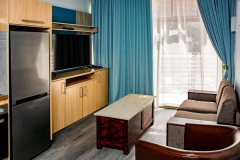 D-Type-Apartment-7_EDIT