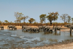 Game-Drive-Elephants-@-waterhole