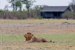 Nogatsaa-Pans-Armchair-Safari-2