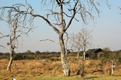 Nogatsaa-Pans-tent-1-in-dry-season