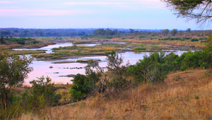 Sabi River Kruger National Park