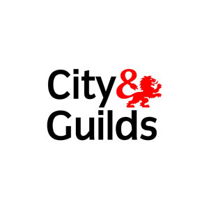 city_and_guilds_opt