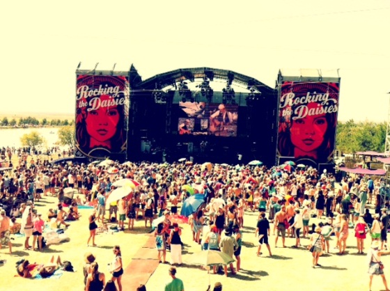 rocking the daisies