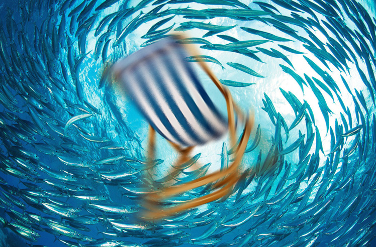 school of sardines with swirling chair