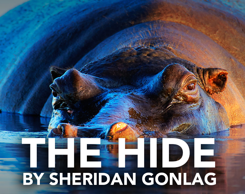 the hide by Sheridan gonlag