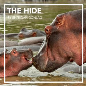 the hide by sheridan gonlag