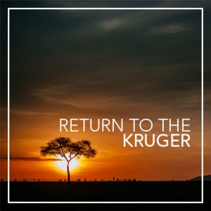 return to the kruger