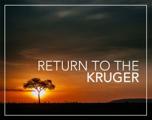 return to the kruger