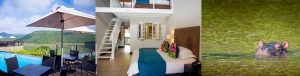 Jozini Tiger Lodge & Spa pool bedroom and hippos