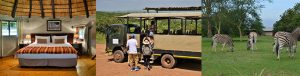 Tala Collection Game Reserve activities