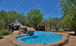 Jackalberry Ridge pool