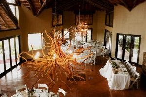 Tala Collection Game Reserve Acacia