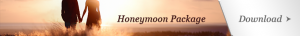 honeymoon package download banner