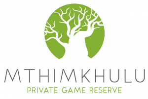 Mthimkhulu Private Game Reserve