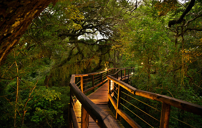 Explore Nibela Lake Lodge Dream Hotels Resorts