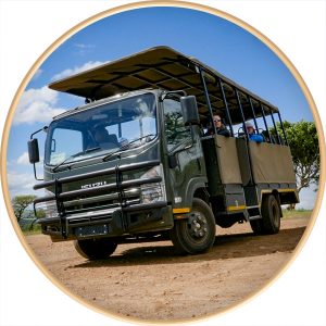 Tala Collection Game Reserve game drive