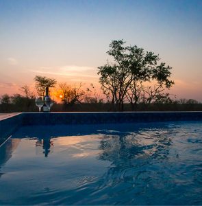 mjejane game reserve pool