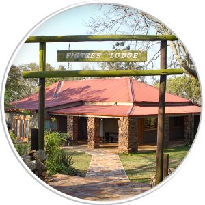 Tala Collection Game Reserve Figtree Lodge