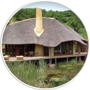 Tala Collection Game Reserve Leadwood Lodge