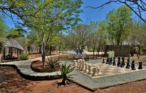 Jackalberry Ridge giant chess