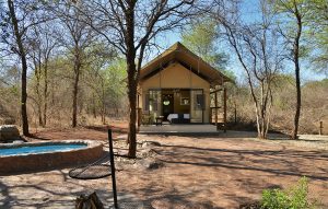 Jackalberry Ridge glamping tent