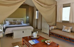 Jackalberry Ridge glamping inside the tent