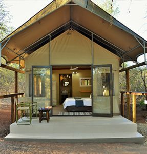 Jackalberry Ridge glamping tents