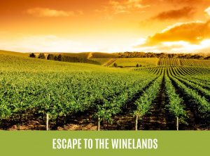 escape to the winelands