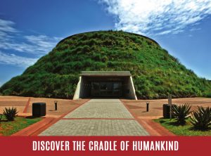 discover the cradle of humankind
