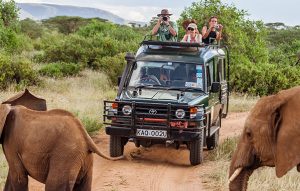 safari drive