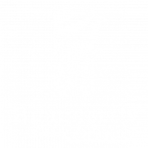 Burchell's Bush Lodge