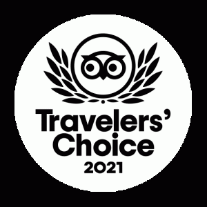 travelers' choice 2021 gif