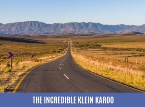 the incredible klein karoo