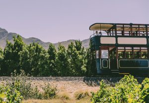 wine tram western cape