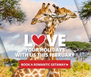 Love your holidays with us the February