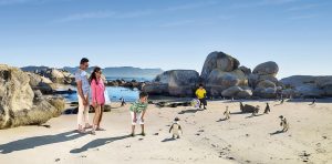 family on beach with penguins