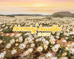 Flower Season 2022 - Stop and smell the flowers with us!