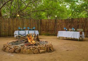BOMA DINNERS AND BUSH BREAKFASTS at Madikwe River Lodge