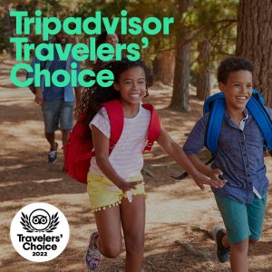 tripadvisor travellers' choice 2022