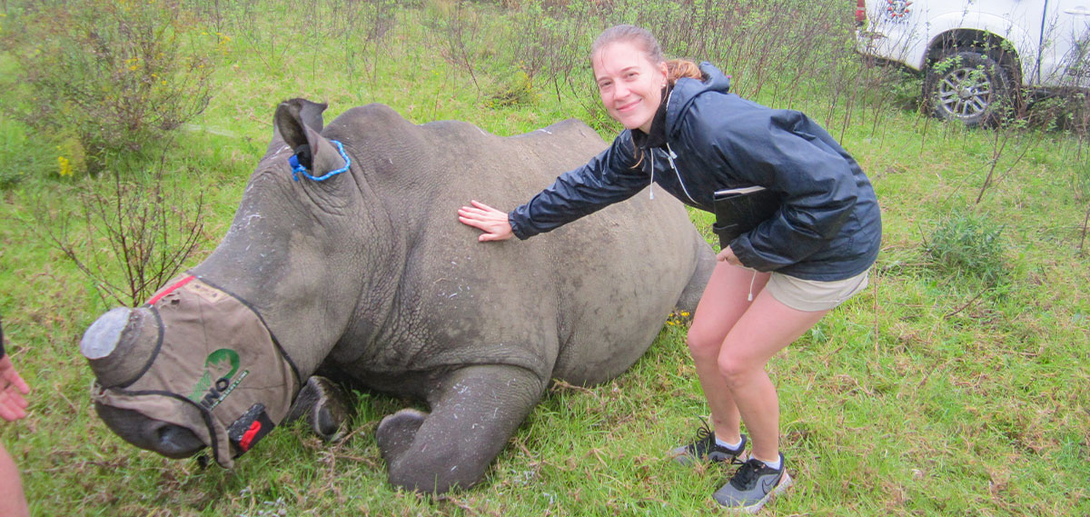 Chelsey Hale with Valentine shortly after he had been dehorned.