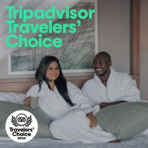 tripadvisor travellers' choice 2022