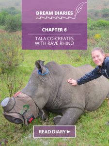 Dream Diaries Chapter 6: Tala Co-Creates with Rave Rhino