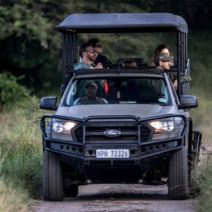 Game drive at Royal Thonga Safari Lodge