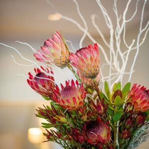 proteas in a vase