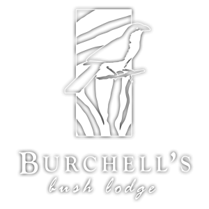 Burchell's Bush Lodge - logo