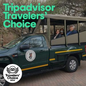 Trip Advisor Travelers Choice 2022