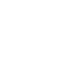 flights - white airplane icon