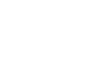 Stonehill River Lodge - logo - white text