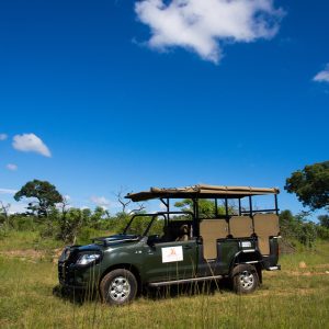 game drive vehicle