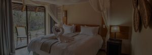 mjejane game reserve - rooms and suites